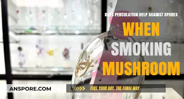 Percolation vs. Spores: Does It Safeguard When Smoking Mushrooms?
