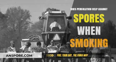 Perculation vs. Spores: Does It Enhance Smoking Safety and Purity?