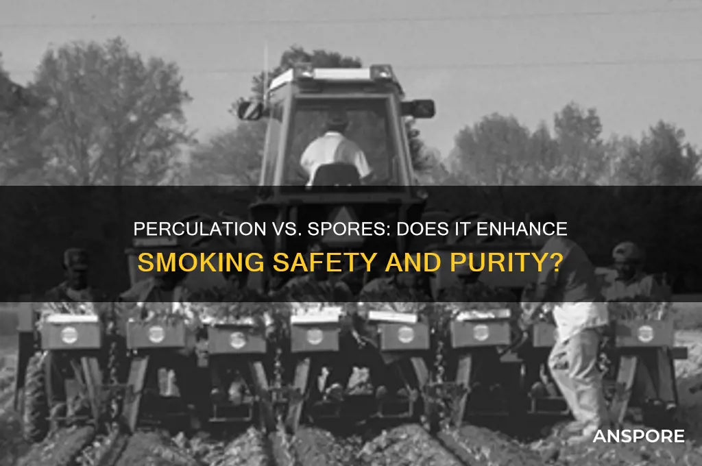 does perculation help against spores when smoking