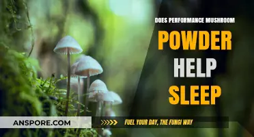 Mushroom Powder: A Natural Sleep Aid?