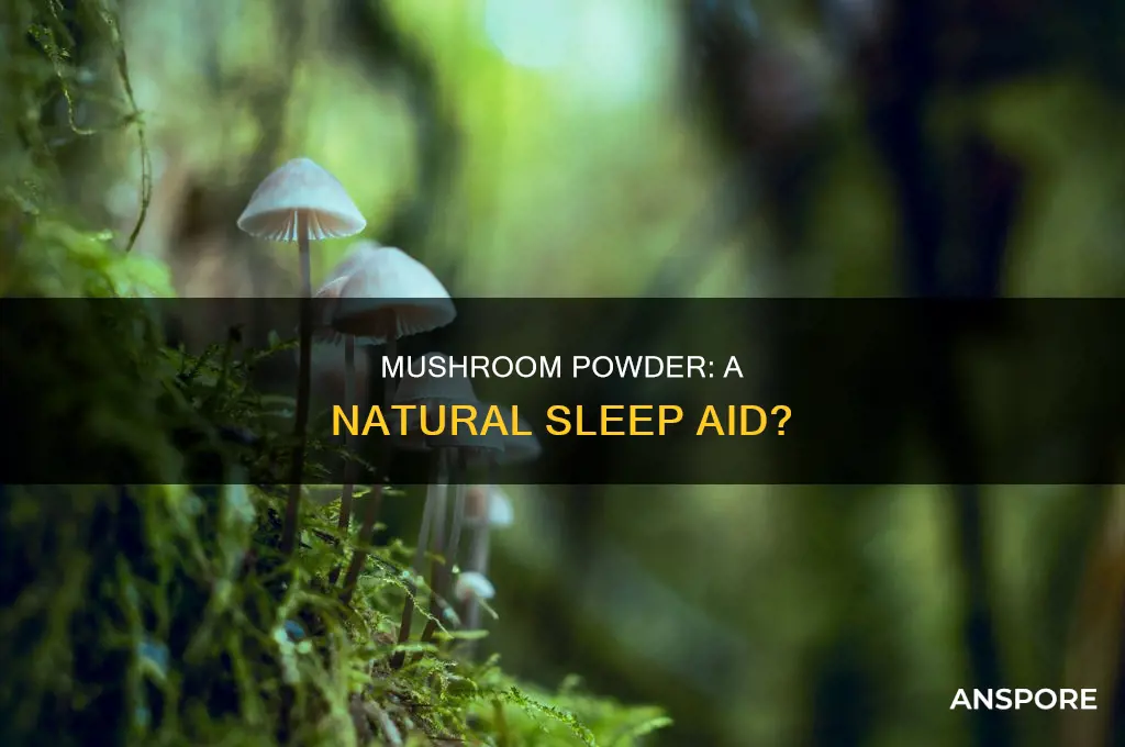 does performance mushroom powder help sleep