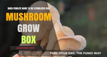 Sterilizing Perlite for Mushroom Grow Boxes: Necessary or Optional?