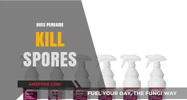 Does Peroxide Effectively Kill Spores? A Comprehensive Scientific Analysis
