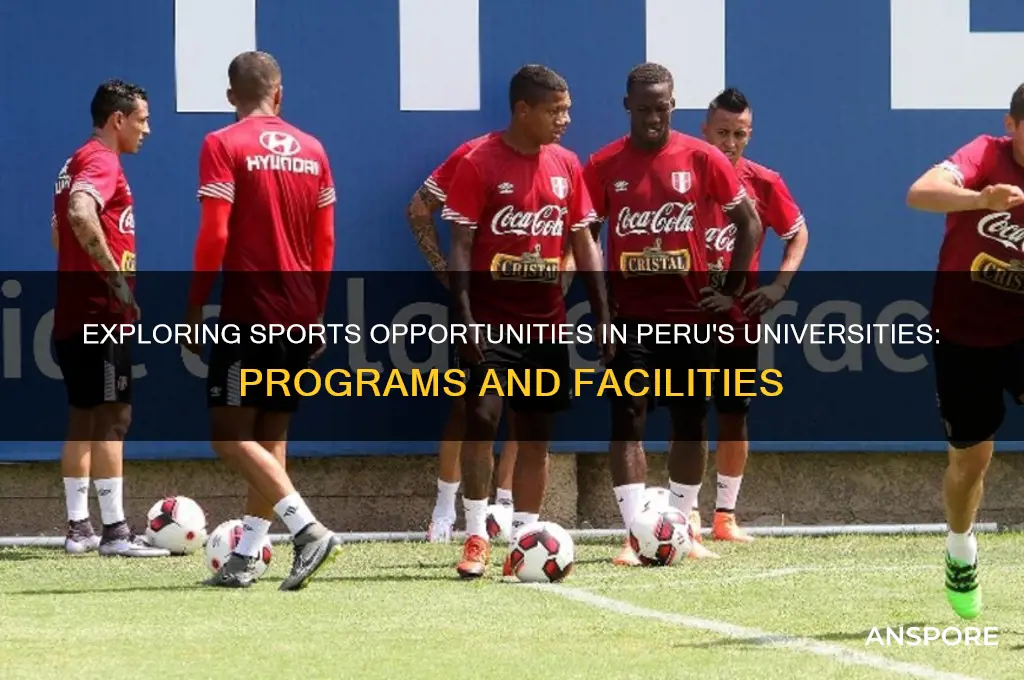 does peru universities have spors