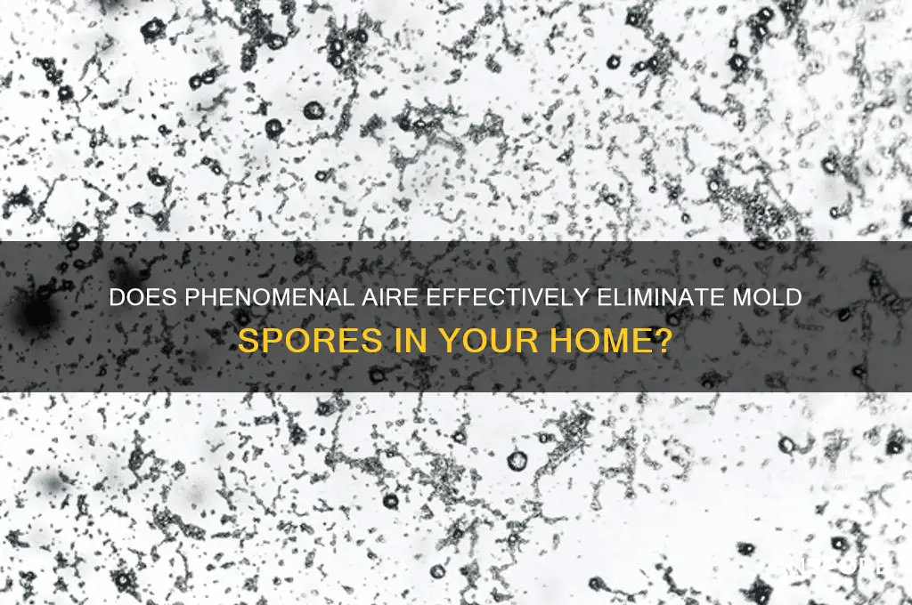does phenomenalaire kill mold spores