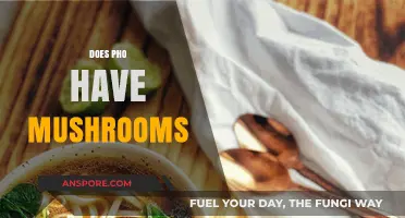 Mushrooms in Pho: A Traditional Addition?