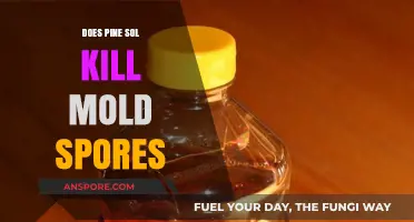 Pine Sol vs. Mold Spores: Effective Solution or Temporary Fix?