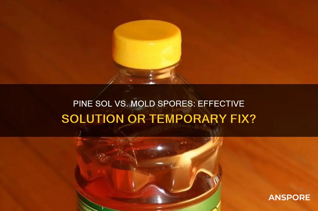 does pine sol kill mold spores