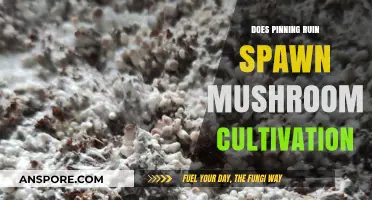 Pinning Mushrooms: The Good, Bad, and Ugly