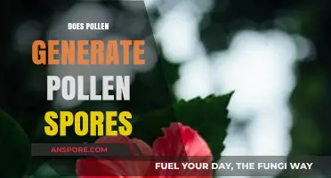 Does Pollen Produce Spores? Unraveling the Myth and Science Behind It