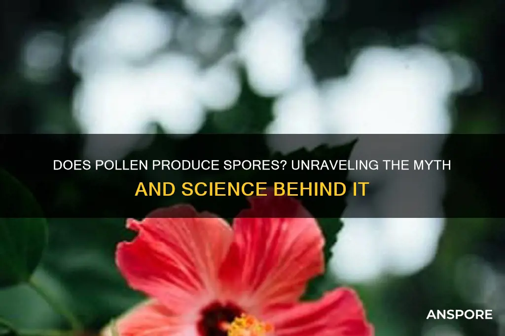 does pollen generate pollen spores