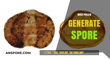 Pollen vs. Spores: Understanding Their Differences and Reproduction Methods