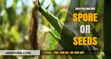 Pollination Unveiled: Understanding the Role of Spores vs. Seeds in Plant Reproduction