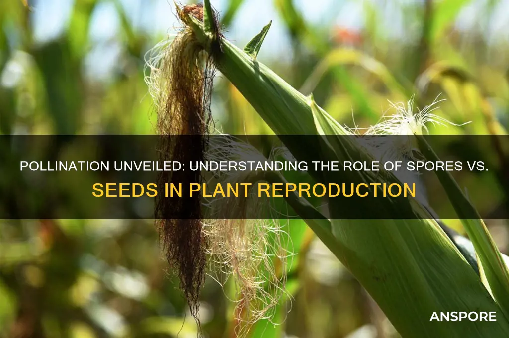 does pollination spore or seeds
