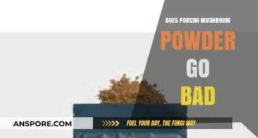 Does Porcini Mushroom Powder Expire? Shelf Life and Storage Tips