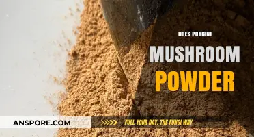 Porcini Mushroom Powder: A Superfood Spice for Your Pantry