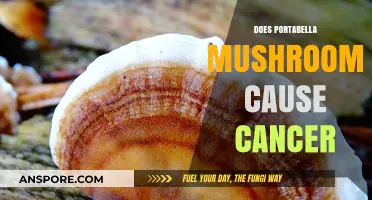 Portabella Mushrooms: Cancer Causers or Not?