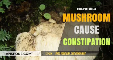 Portabella Mushrooms: Constipation Cause or Cure?