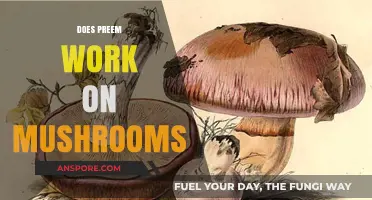 How to Effectively Use Preeem on Mushrooms