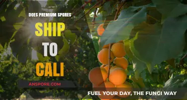 Does Premium Spores Ship to California? A Comprehensive Guide