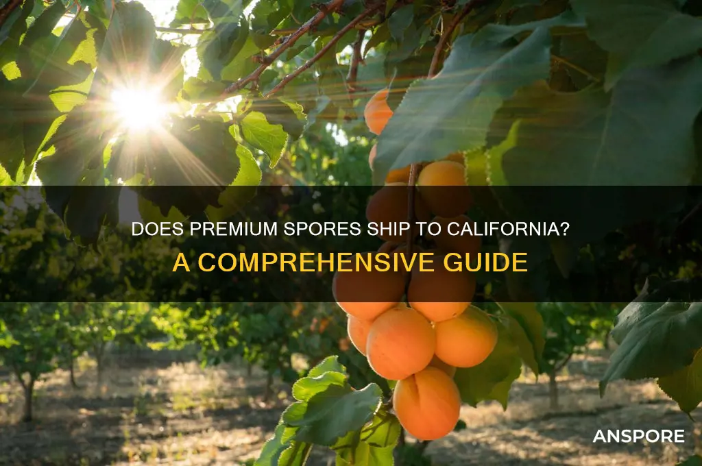 does premium spores ship to cali