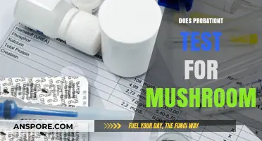Mushroom Consumption: Probation Testing and You
