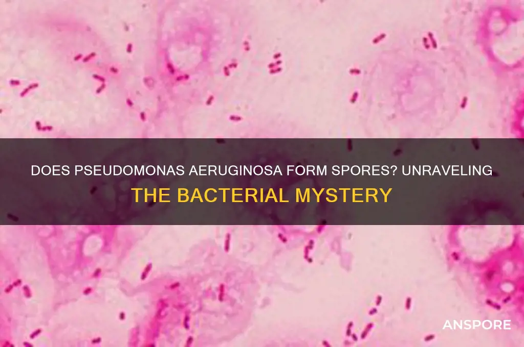 does pseudomonas aeruginosa form spores