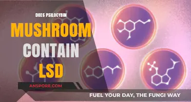 Psychedelic Confusion: Psilocybin and LSD Similarities