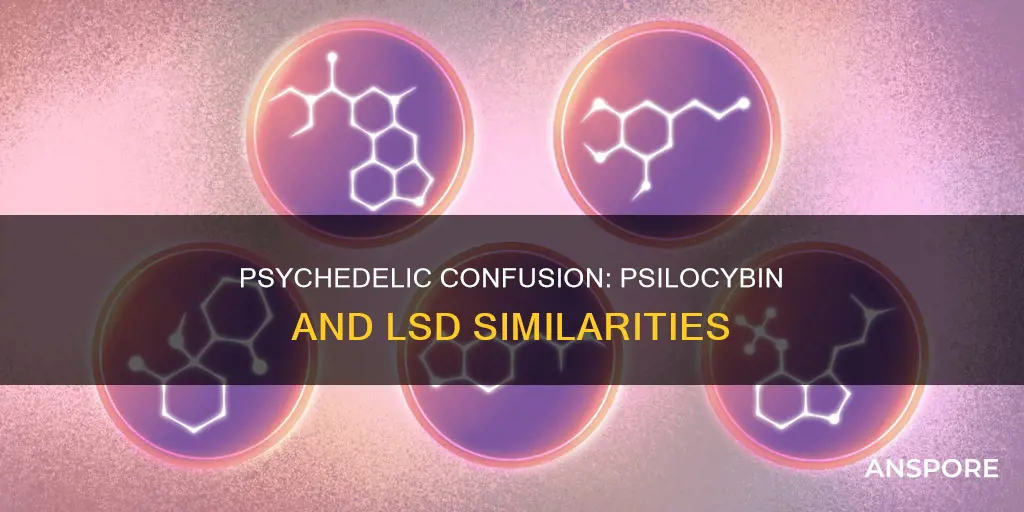does psilocybin mushroom contain lsd