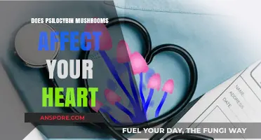 Psilocybin Mushrooms: Heart Risks and Benefits