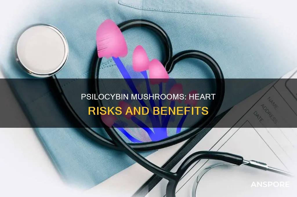 does psilocybin mushrooms affect your heart