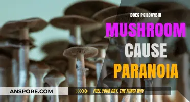 Psilocybin Mushrooms: Paranoia or Paradise?