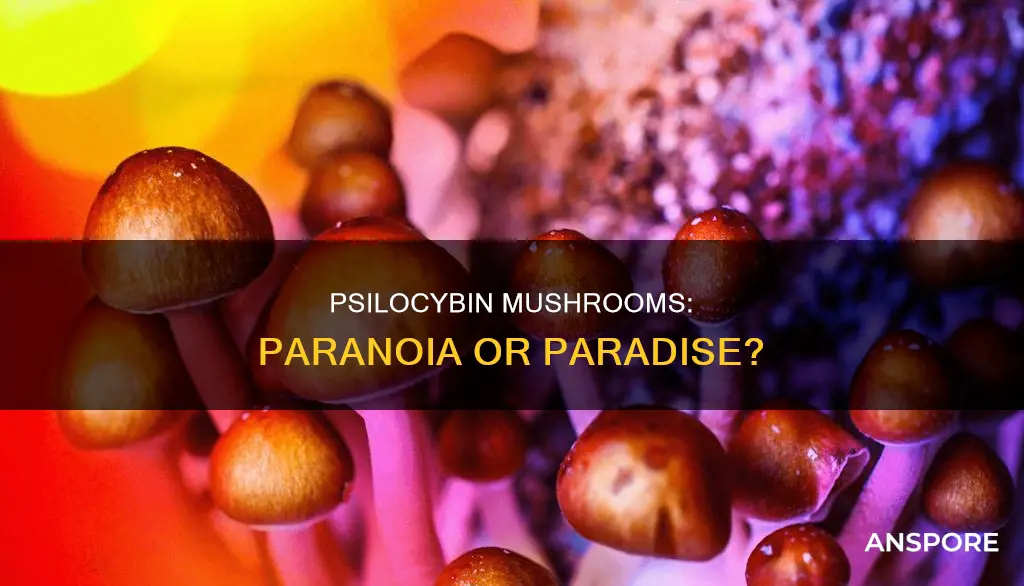 does psilocybin mushrooms cause paranoia