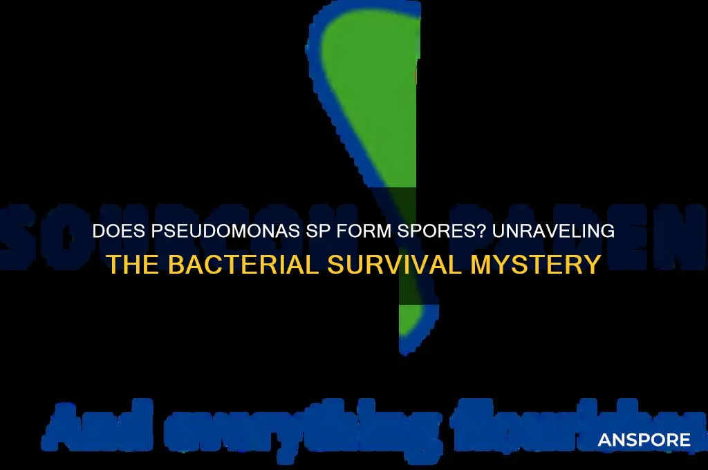 does psueodomonas sp form spores
