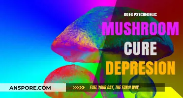Psychedelic Mushrooms: Depression Cure or Just a Trip?