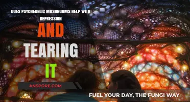 Psychedelic Mushrooms: A Natural Remedy for Depression?