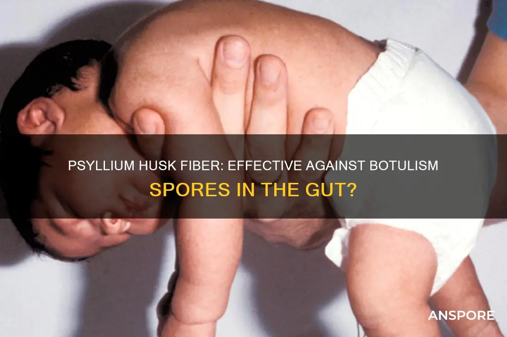does psyllium husk fiber help clear botulism spores in gut