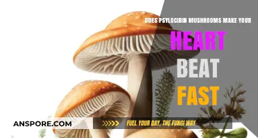 Psychedelic Effects: Do Psilocybin Mushrooms Increase Heart Rate?