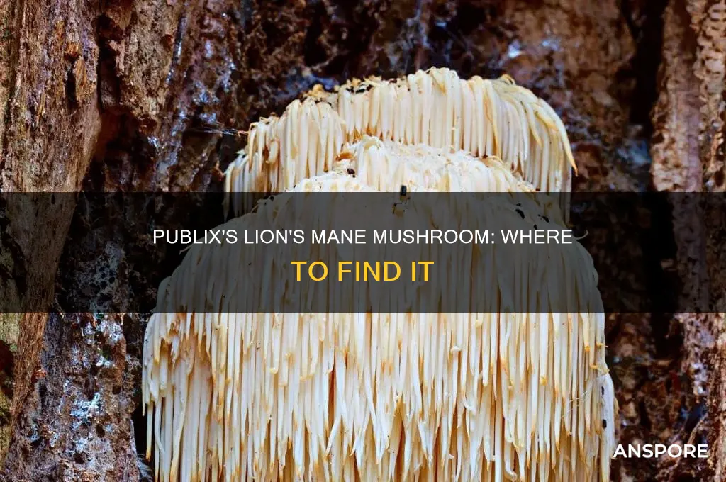 does publix carry lions mane mushroom
