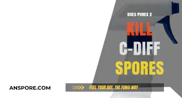 Purex 2's Effectiveness Against C-Diff Spores: What You Need to Know