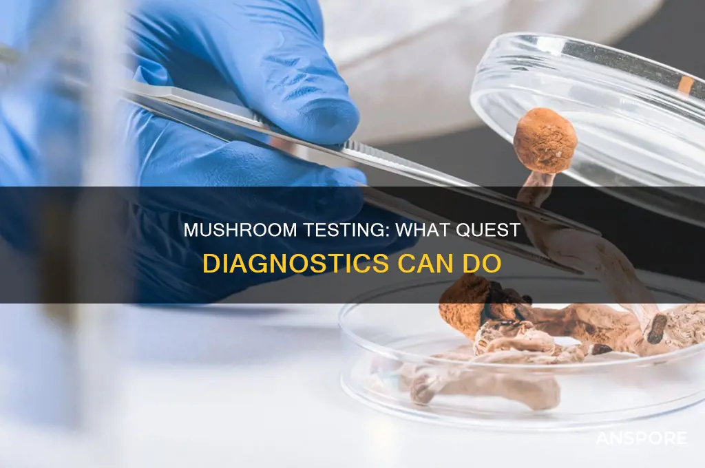 does quest diagnostics test for mushrooms