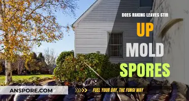 Raking Leaves and Mold: Uncovering the Hidden Health Risks