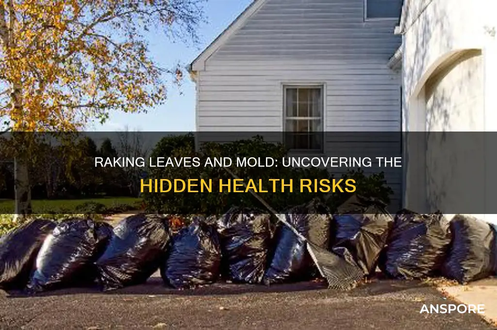does raking leaves stir up mold spores