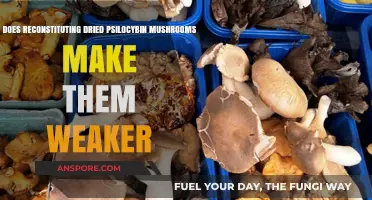Reconstituting Dried Psilocybin Mushrooms: Does It Weaken Their Potency?