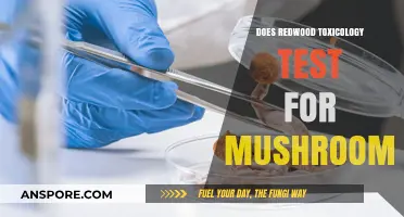 Mushroom Testing: Redwood Toxicology's Expertise