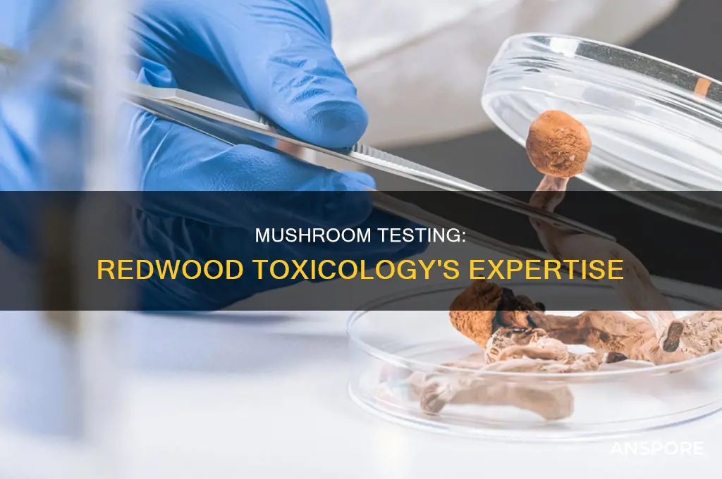 does redwood toxicology test for mushrooms