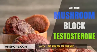 Reishi Mushrooms: Testosterone Blockers or Not?