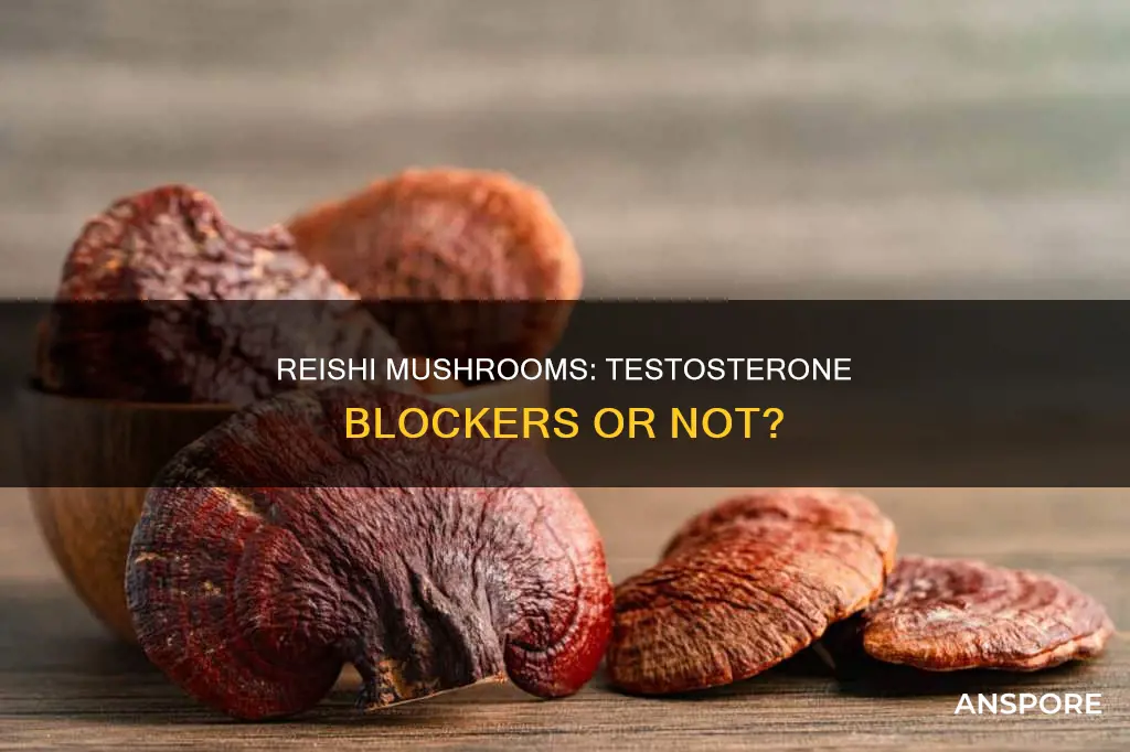 does reishi mushroom block testosterone