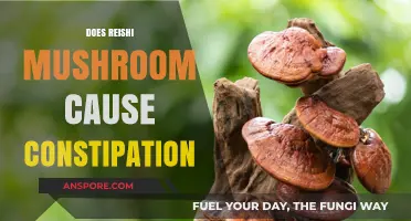 Reishi Mushroom: Constipation Side Effect or Myth?