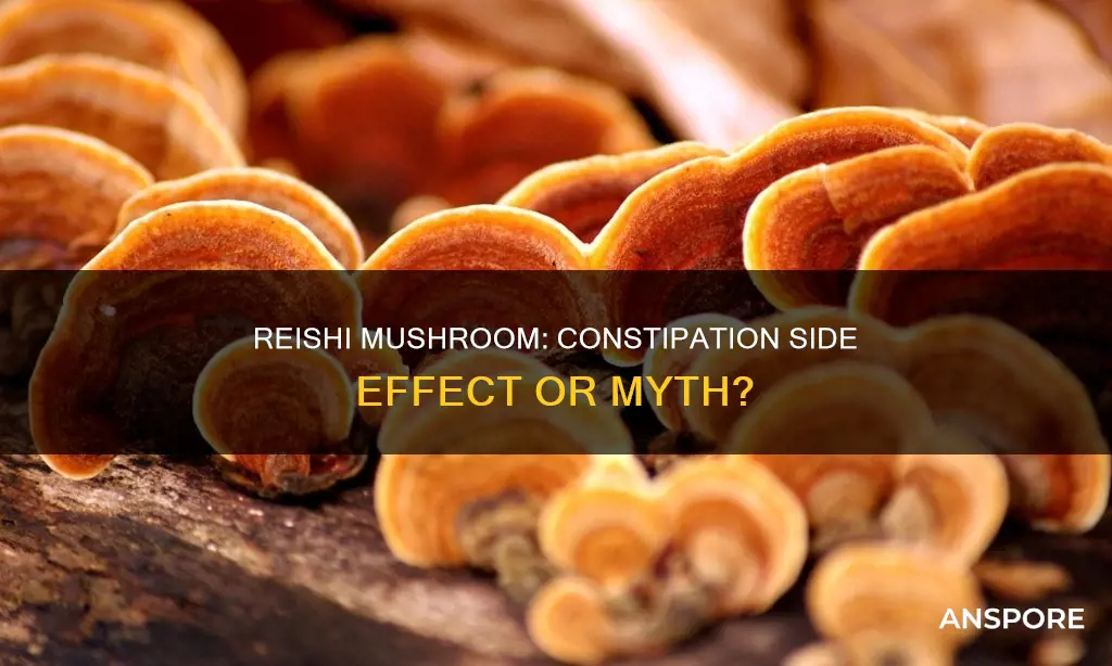 does reishi mushroom cause constipation